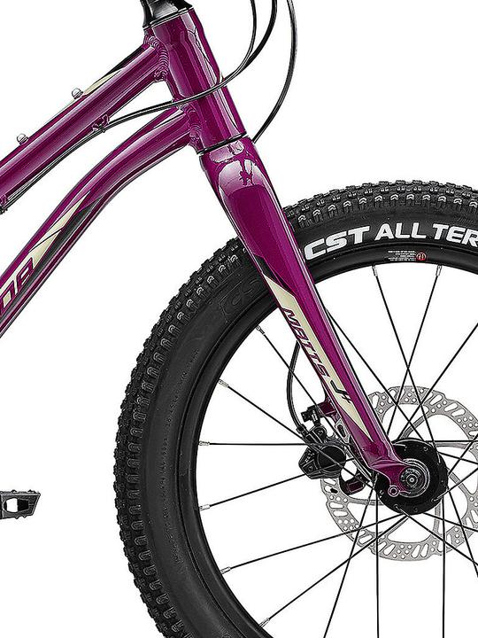 Image du produit Merida Matts Junior 20 Plus (20")