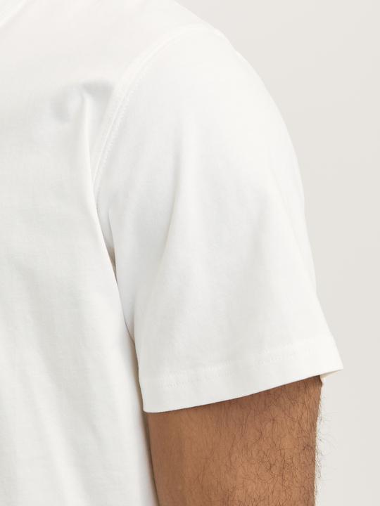 Produktbild Jack & Jones Rdddan Crew Neck Tee S/S Noos (XXL)