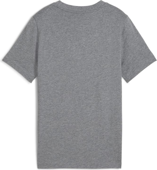 Actual product image Puma ESS 2 COLOR Small No. 1 Logo Tee B (164)
