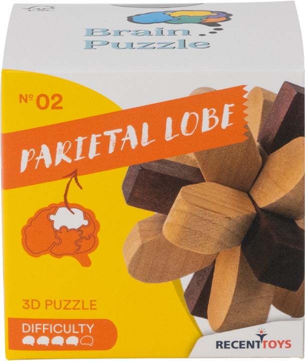 Actual product image Recent Toys Brain Puzzle No.2 Parietal Lobe