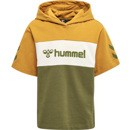 Immagine prodotto hummel Felpa con cappuccio Hmlcloud S/S (110)
