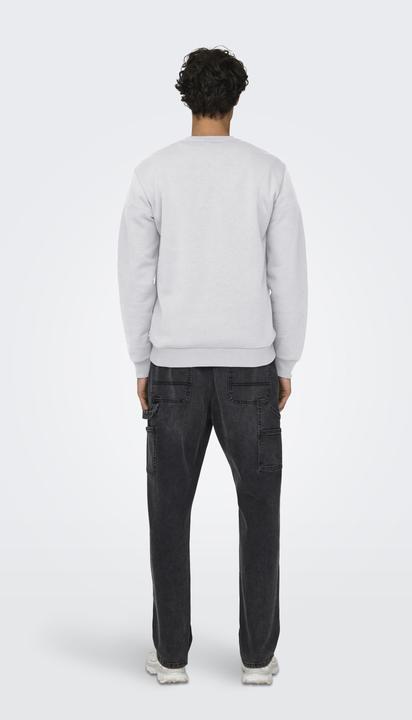 Produktbild Only & Sons Onsceres Crew Neck Noos (L)