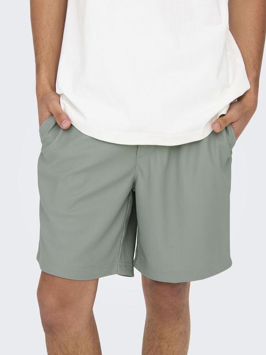 Actual product image Only & Sons Onstel Life Plizze Shorts Noos (S)