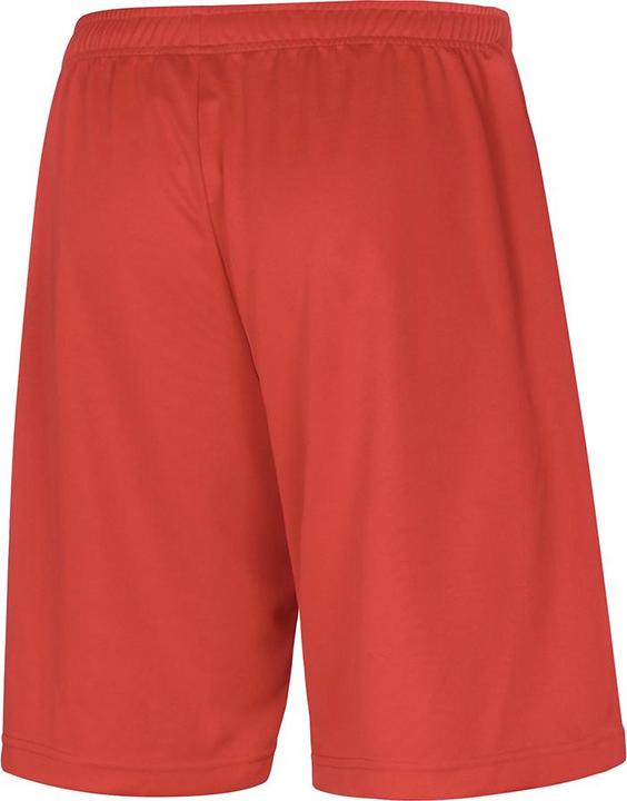 Actual product image Mizuno Trad Shukyu Short (S)