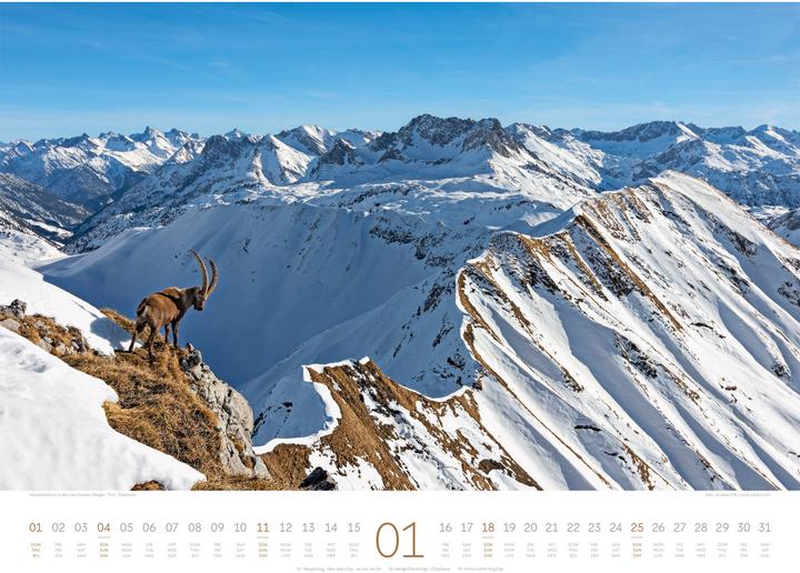 Actual product image Naturparadies Alpen Kalender 2026 (54 x 42 cm, Hardcover, English, French, German)
