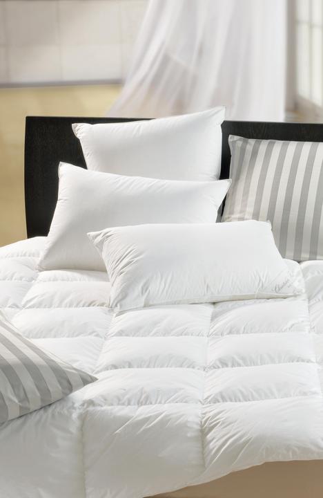 Immagine prodotto DOR Lotus Classic (50 x 70 cm)