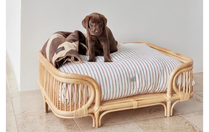 Image du produit Oyoy Lit pour chien Otto (Chien)