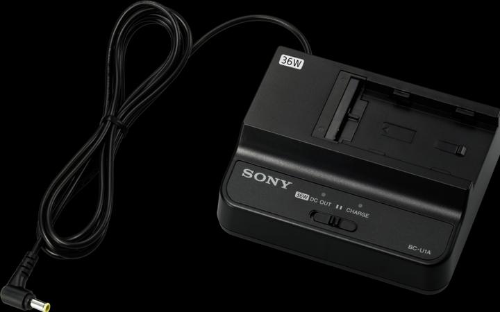 Actual product image Sony BC-U1A Charger Charger for BP-U batteries (Camera battery charger)
