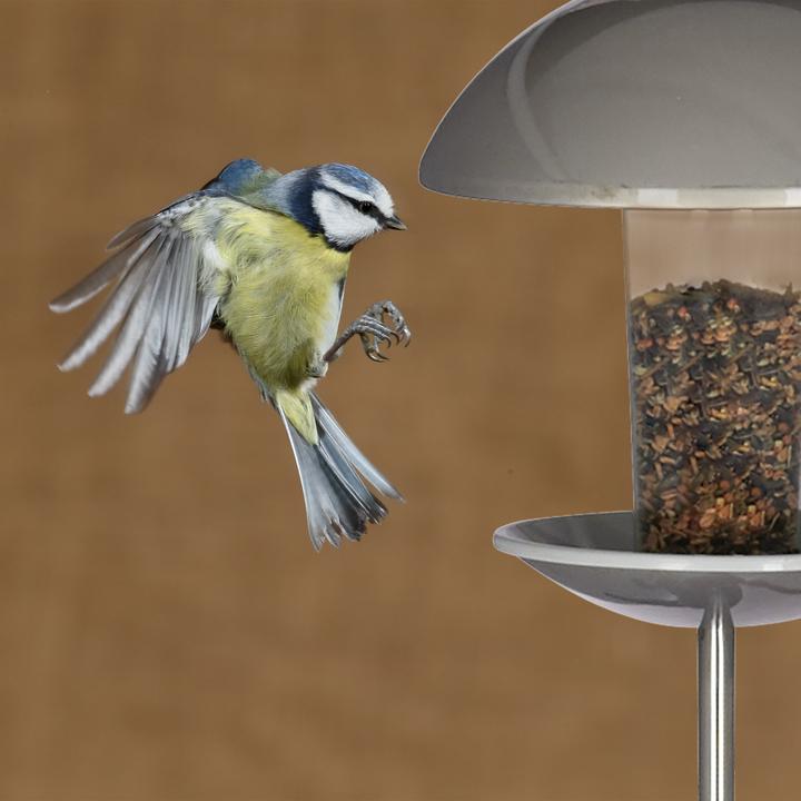 Productafbeelding Relaxdays Vogelvoederhuisje