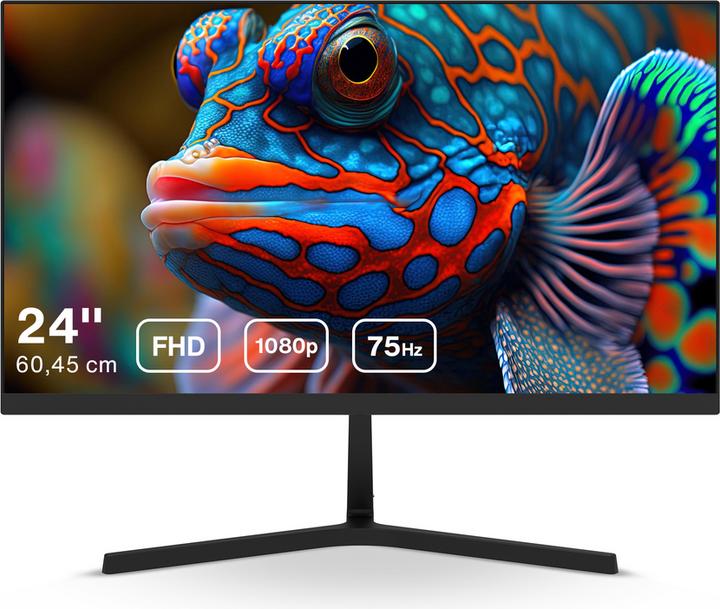 Actual product image Dahua LM24-B201S - Full HD IPS Monitor - 75 Hz - 24 inch (1920 x 1080 pixels, 23.80")