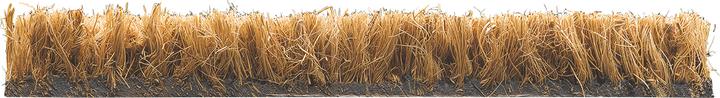 Actual product image Hamat Coconut mat beige 40.0 x 60.0 cm (40 x 60 cm)