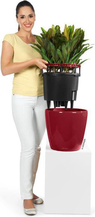 Actual product image Lechuza Classico (43 cm)