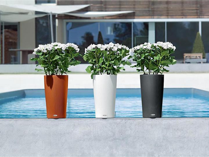 Actual product image Lechuza Cilindro 32 (32 cm)