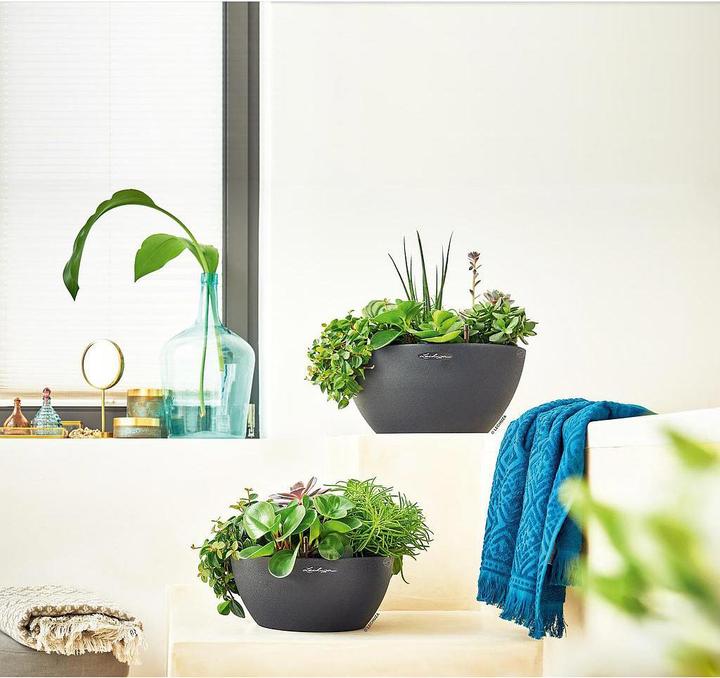Produktbild Lechuza Cubeto 40 (40 cm)