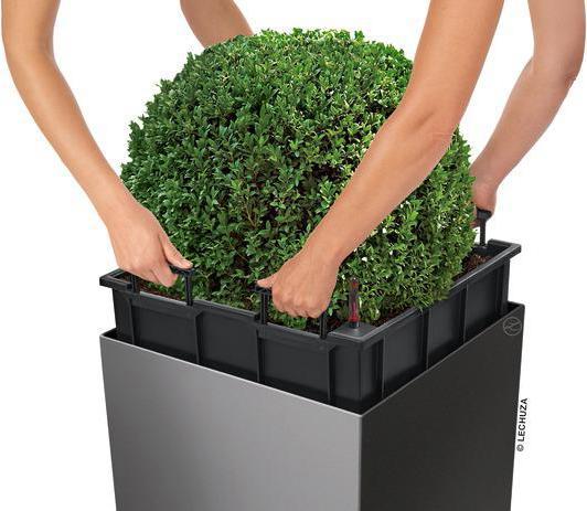 Actual product image Lechuza Cube (39 cm)