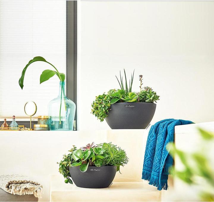 Actual product image Lechuza Cubeto Color (40 cm)