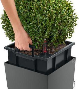 Actual product image Lechuza Cubico (50 cm)