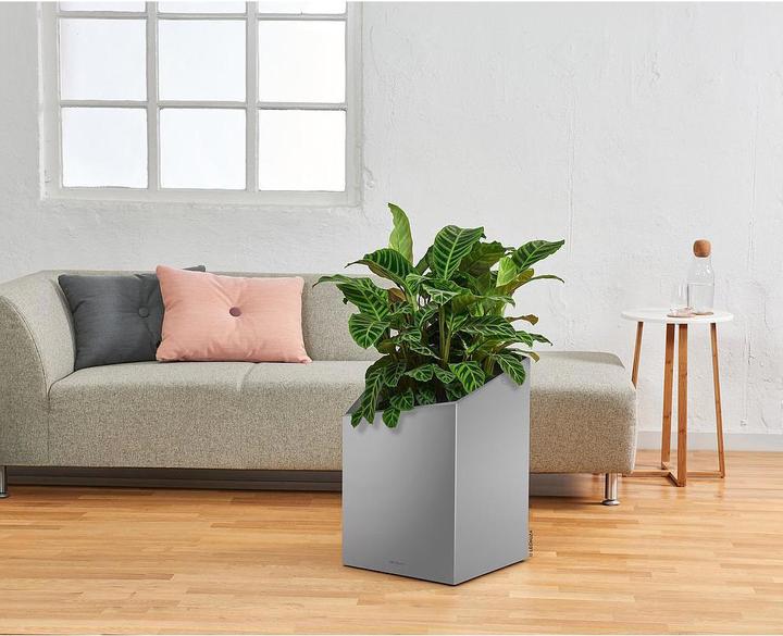 Produktbild Lechuza Premium Collection CURSIVO 50 all in one silber metallic
