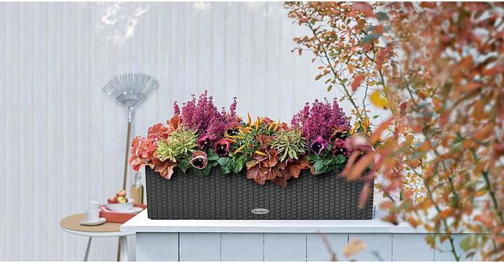 Produktbild Lechuza Balconera Cottage (19 cm)