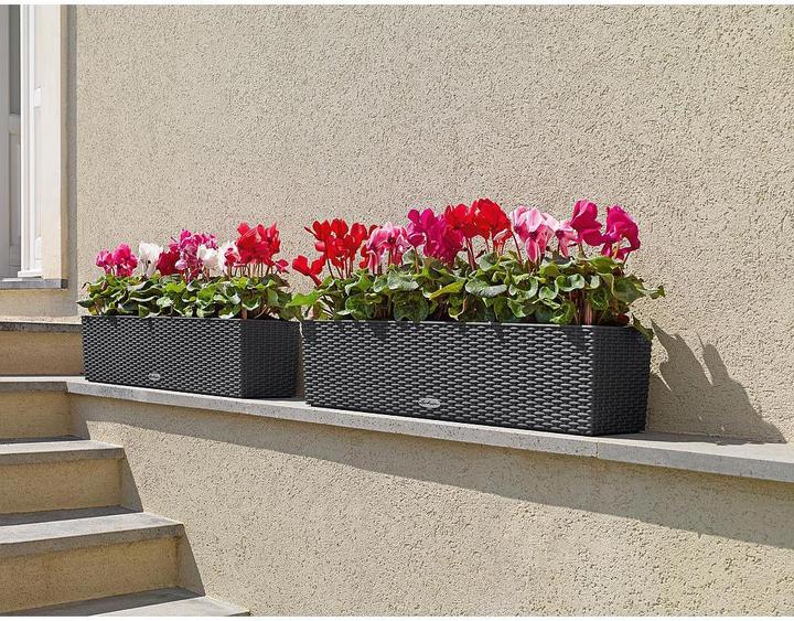 Produktbild Lechuza Balconera Cottage (19 cm)