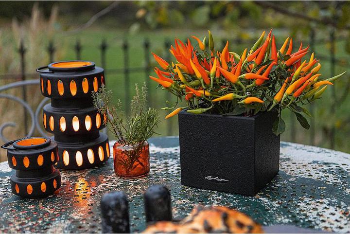 Actual product image Lechuza CANTO Stone 14 (14 cm)