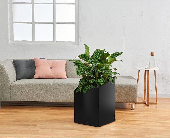 Actual product image Lechuza Premium Collection CURSIVO 30 all in one black high gloss (30 cm)