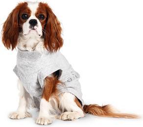Produktbild Karlie Safety Body für Hunde, grau (Hundeoverall)