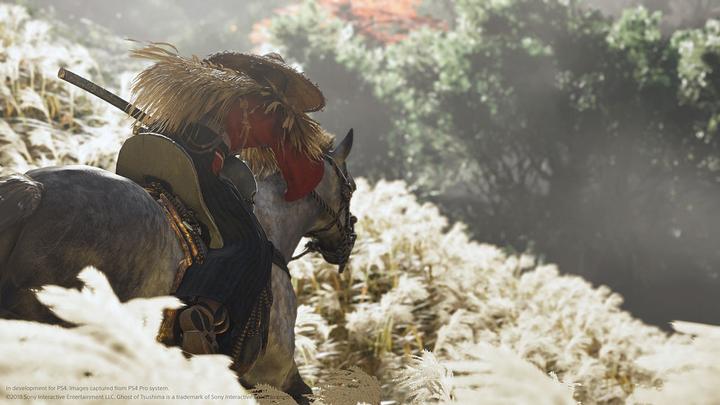Image du produit Sony Ghost of Tsushima (PS4, Multilingue)