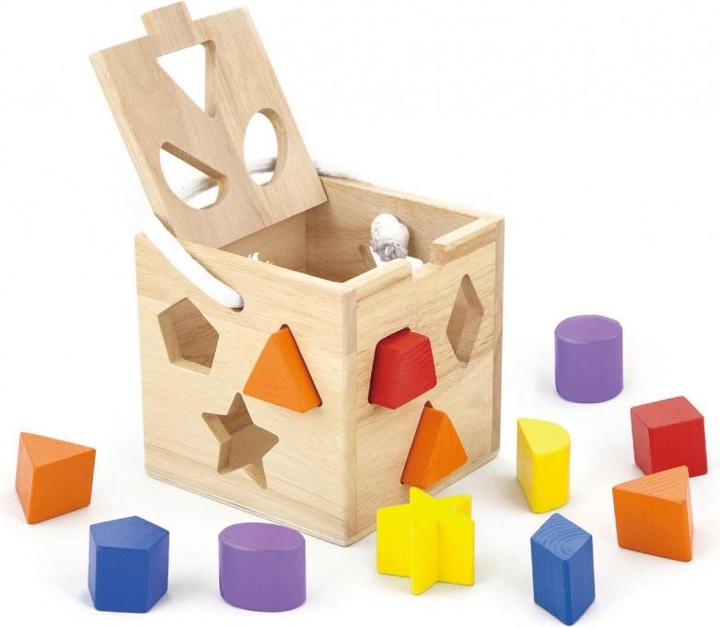 Actual product image Viga Toys My first form game
