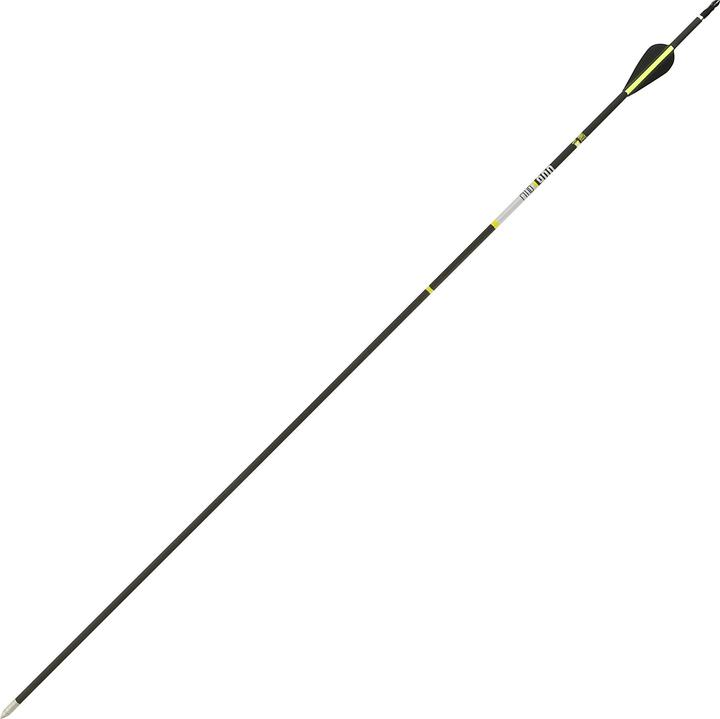 Actual product image Geologic Club 900 ×3 Carbon