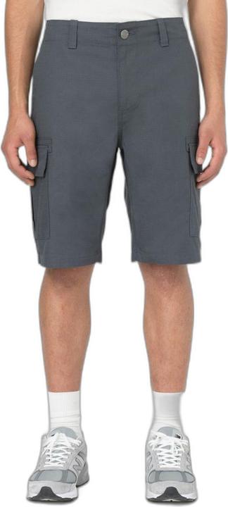 Actual product image Dickies Millerville Short (30)