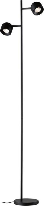 Puric Pane (300 lm)