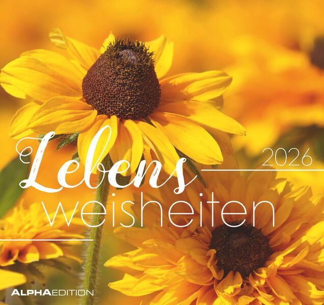 Produktbild Alpha Edition Lebensweisheiten - Postkartenkalender mit 53 Motiven und Zitaten (Deutsch)
