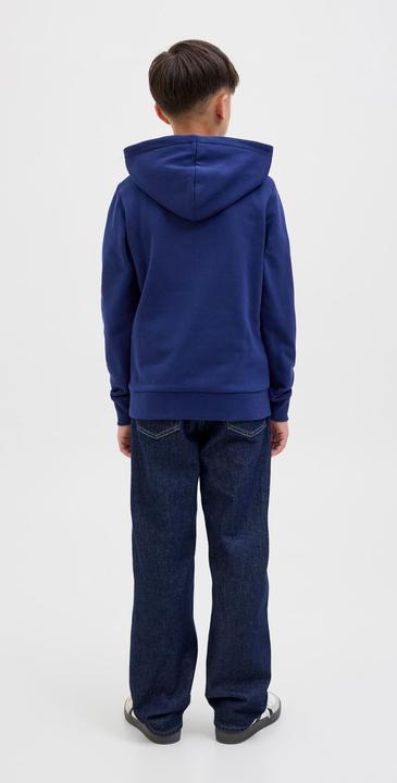 Immagine prodotto Jack & Jones Jorskull Nature Sweat Hood Sn Jnr (128)