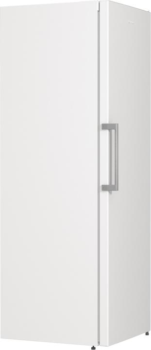 Actual product image Gorenje R619EEW5 (398 l)