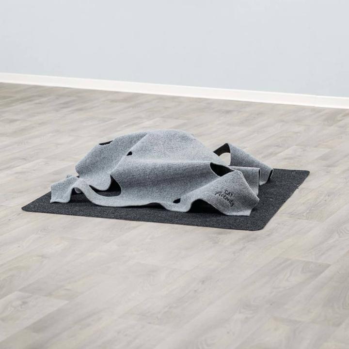 Produktbild Trixie Adventure Carpet (Katzenminzespielzeug)