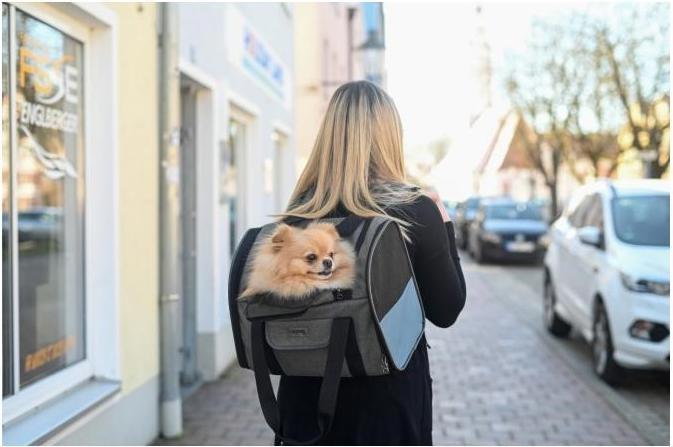 Actual product image Kerbl Dog Backpack Vacation (Dog, Foldable, Washable)