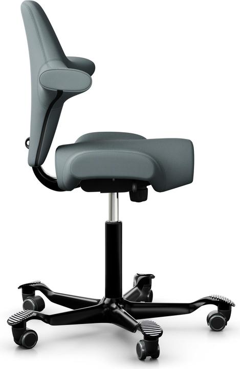 Actual product image HAG Capisco 8106 PATINA