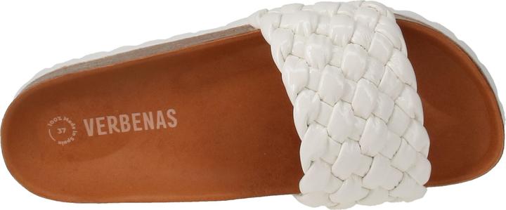 Actual product image Verbenas Rica (41)