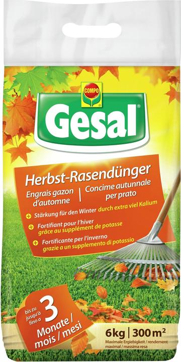 Produktbild Gesal Herbst- Rasendünger (6 kg)