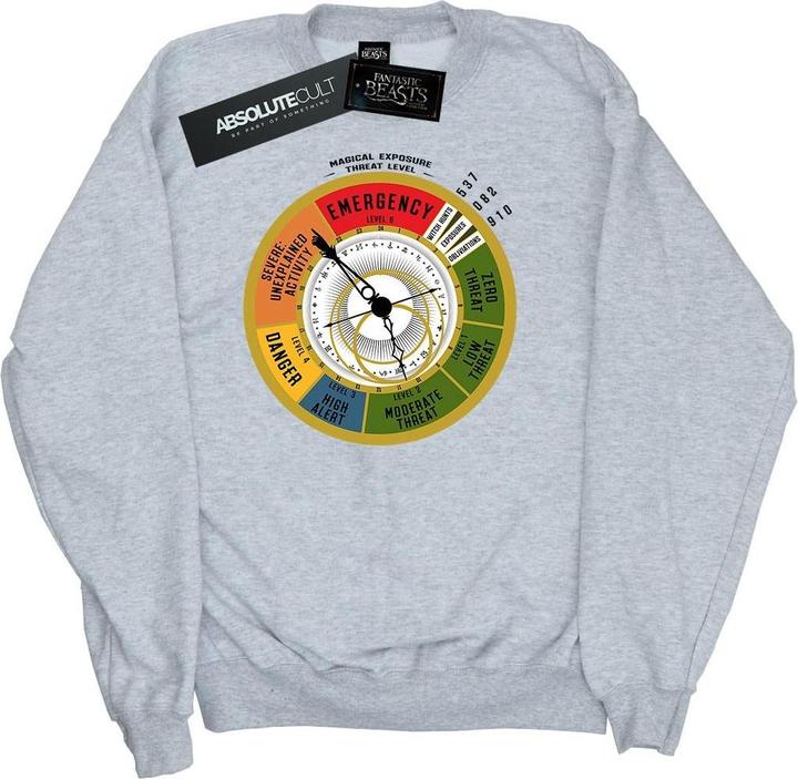Fantastic Beasts Threat Level Sweatshirt Jungen (140, 146)