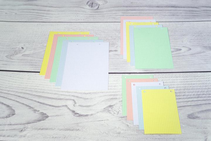 Immagine prodotto Exacompta Schede di valutazione (A4, 205 g/m², 100 x)