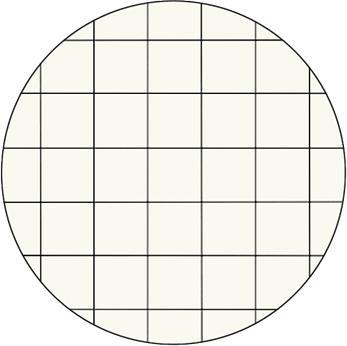 Produktbild Leitz WOW - Notizbuch (A5, Kariert, Weicher Einband)