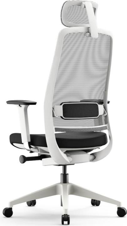 Image du produit Yaasa Chair Expert - blanc