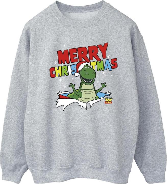 Disney Toy Story Rex Christmas Burst Sweatshirt (L)