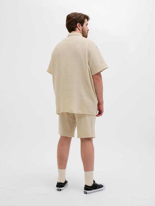 Immagine prodotto Jack & Jones Plus Size Loose Fit Relaxed Fit Shorts Relaxed Fit Shorts (42)