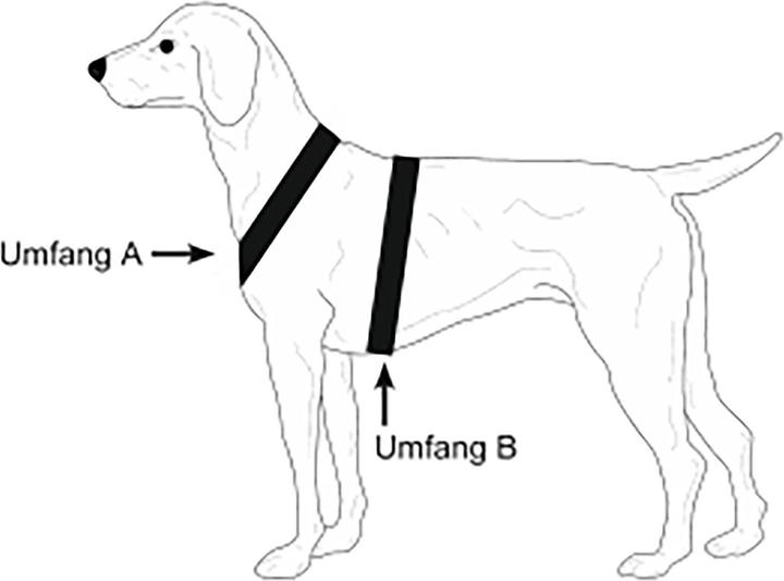 Produktbild Niggeloh Hundeführgeschirr Follow Sport (XL, Hund, Allgemein, Hundesport)