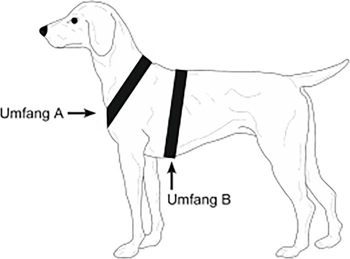 Produktbild Niggeloh Hundeführgeschirr Follow Light (XXS, Hund, Allgemein)