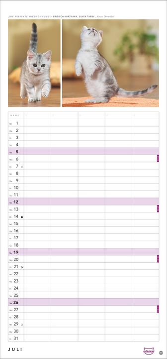 Image du produit Whiskas'Cattitude'Familienplaner2026 (21 x 45 cm, Couverture rigide, Allemand)