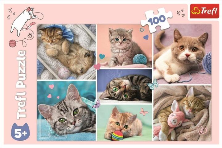 Produktbild Trefl Puzzle Katzenwelt (100 Teile)